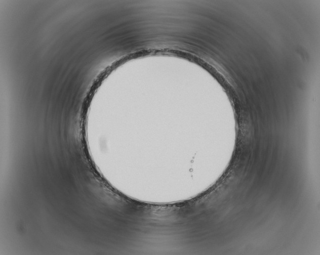 X0000113530832200910161348