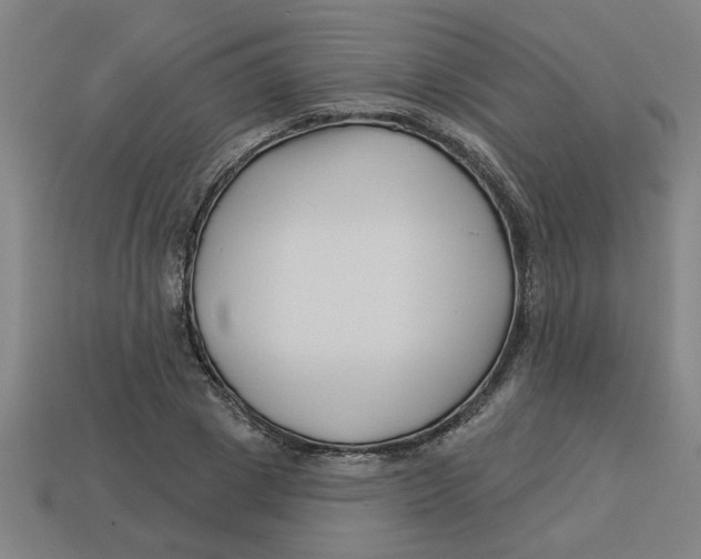 X0000113530833200910161348