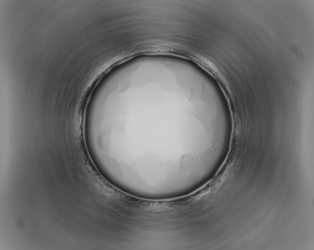 X0000113530835200910161348