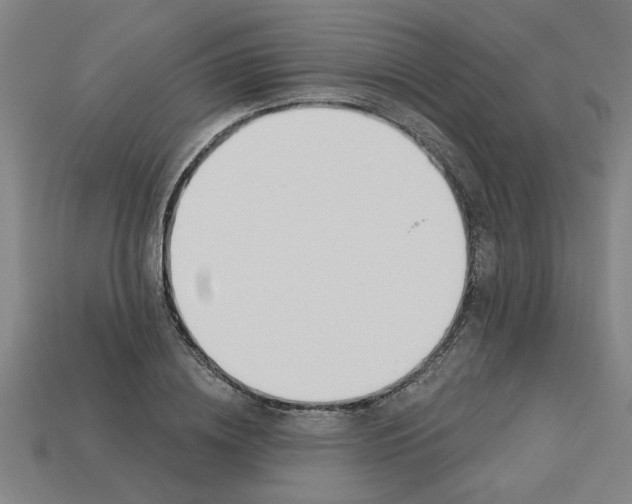 X0000113530836200910161348