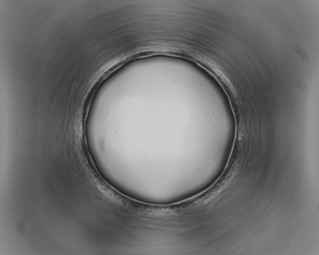 X0000113530837200910161348