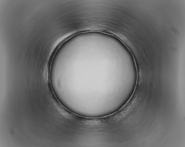 X0000113530838200910161348