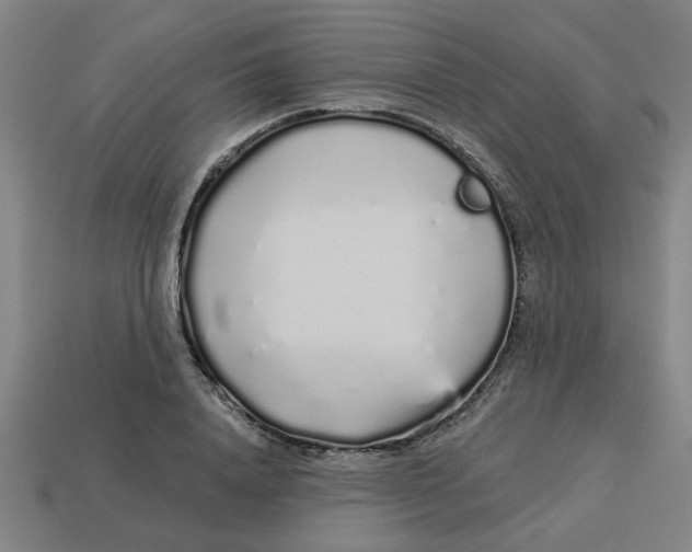 X0000113530840200910161348