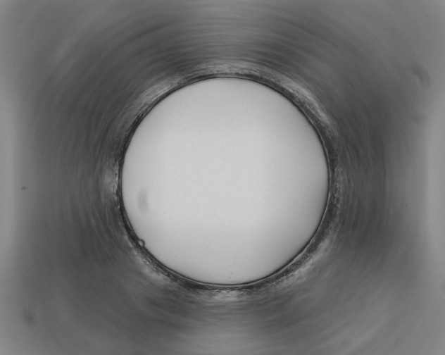 X0000113530841200910161348