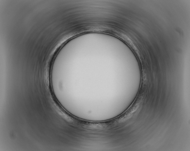 X0000113530843200910161348