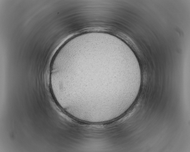 X0000113530844200910161348