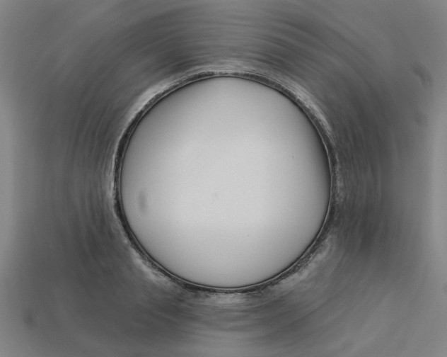 X0000113530845200910161348