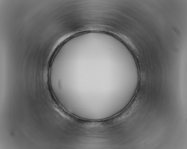 X0000113530846200910161348