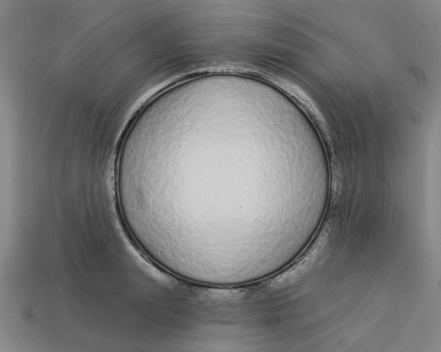 X0000113530847200910161348