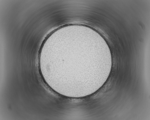 X0000113530848200910161348