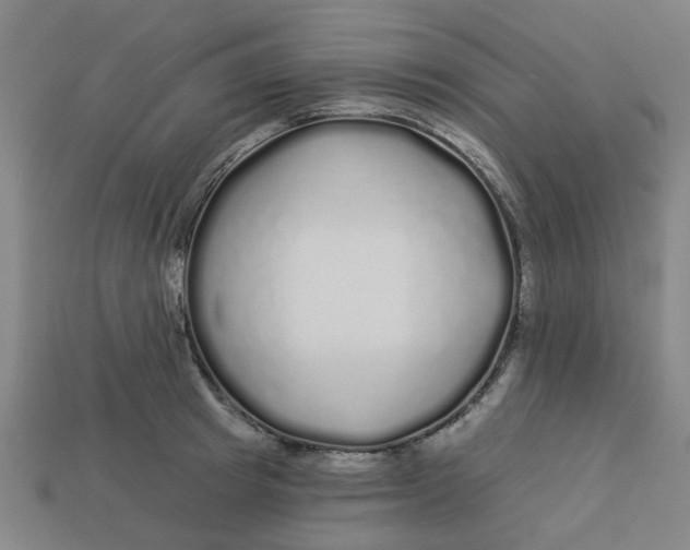 X0000113530849200910161348