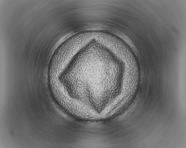 X0000113530850200910161348