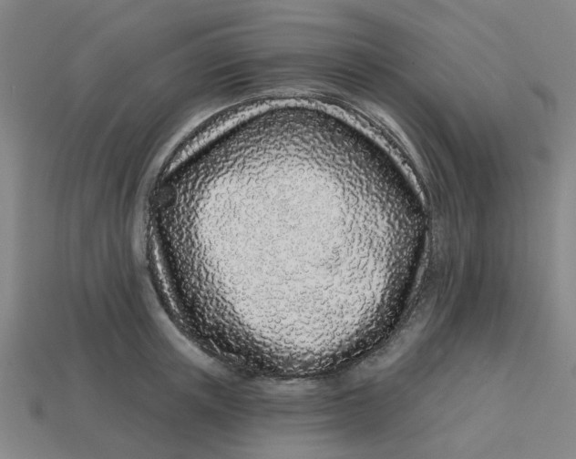 X0000113530851200910161348