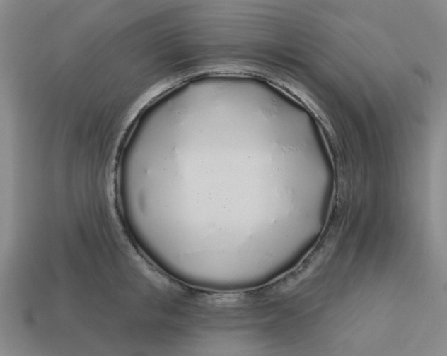 X0000113530853200910161348