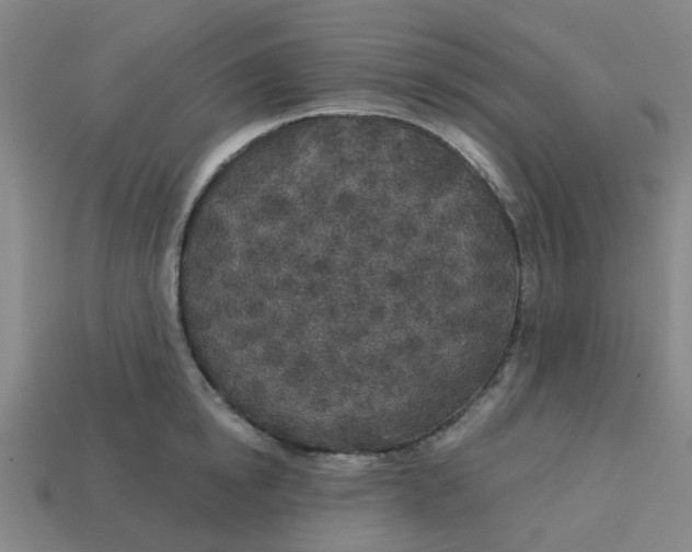 X0000113530854200910161348