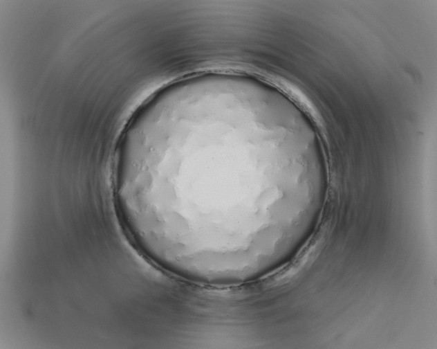 X0000113530855200910161348