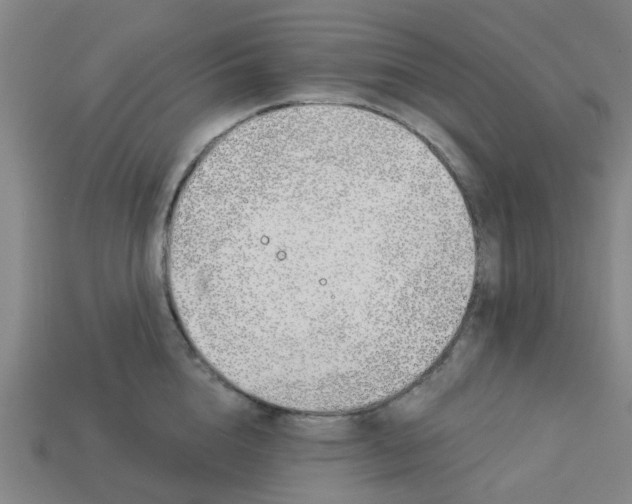 X0000113530856200910161348