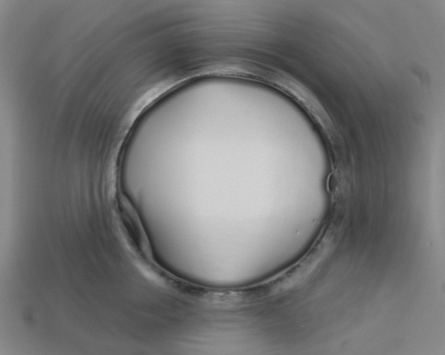 X0000113530858200910161348