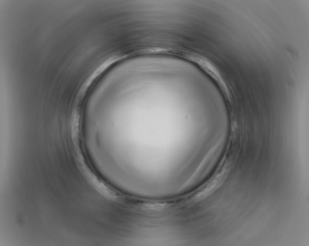 X0000113530859200910161348