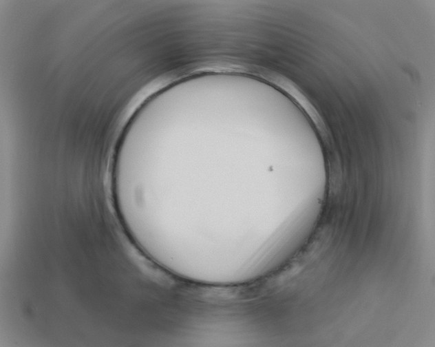 X0000113530861200910161348