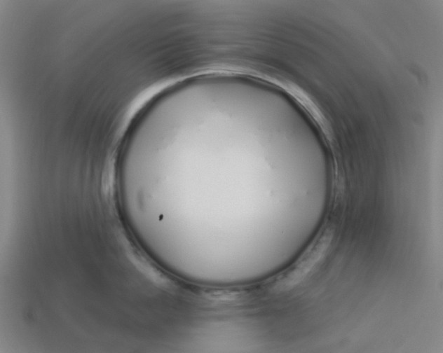 X0000113530862200910161348