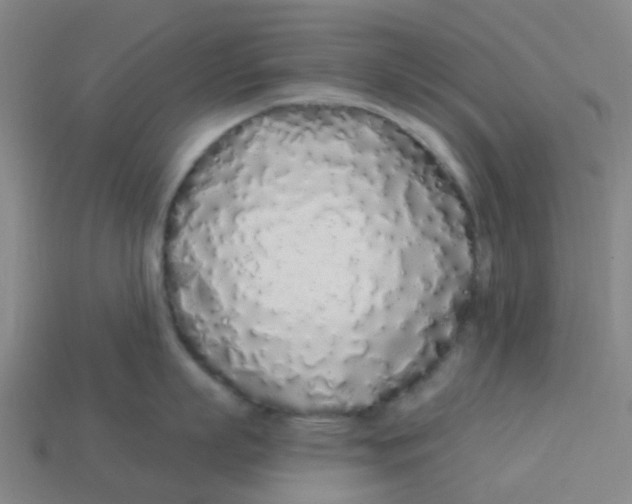 X0000113530863200910161348