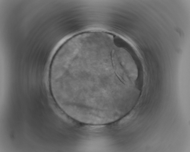 X0000113530864200910161348