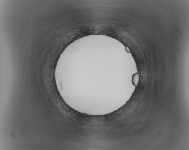 X0000113530865200910161347