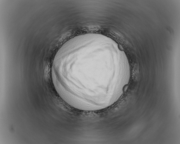 X0000113530866200910161347