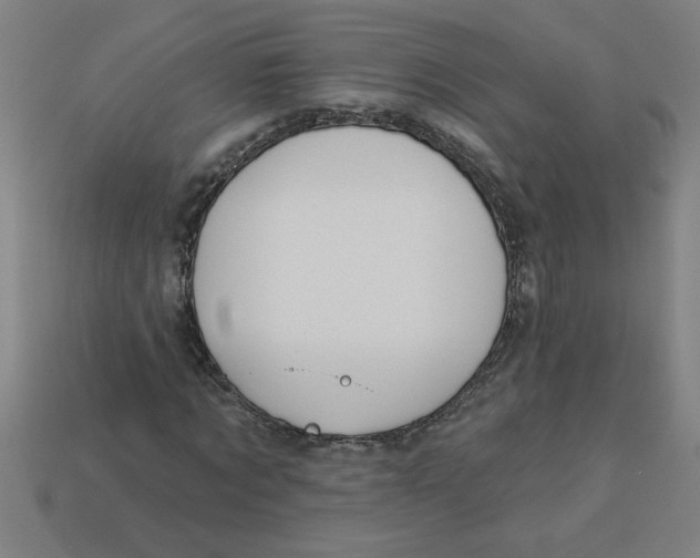 X0000113530869200910161347