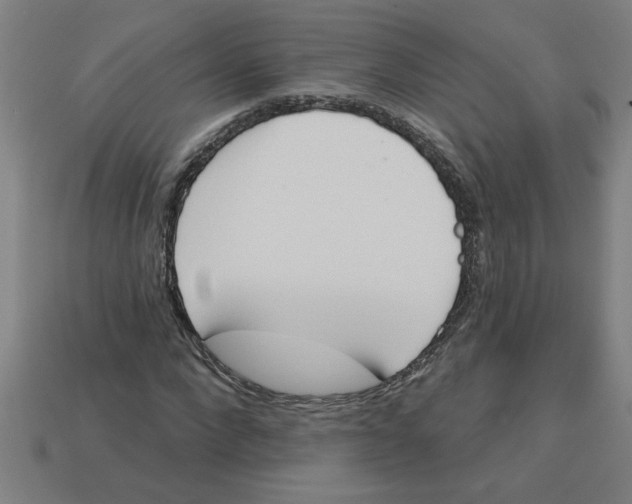 X0000113530872200910161347