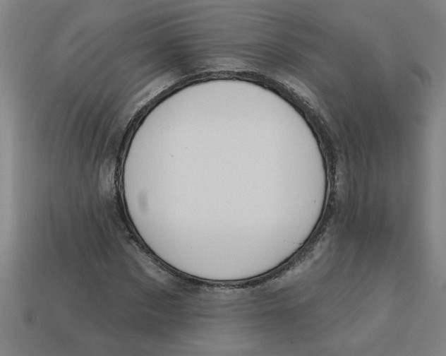 X0000113530873200910161347