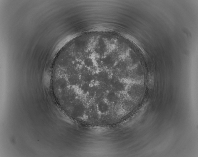 X0000113530874200910161347