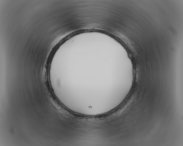 X0000113530876200910161347