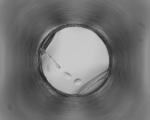 X0000113530878200910161347