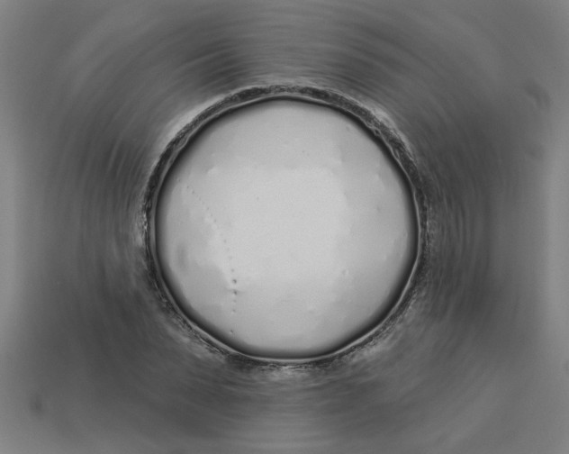 X0000113530879200910161347