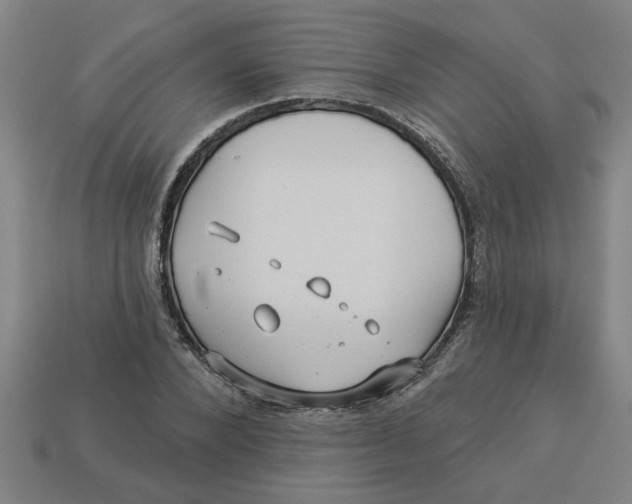 X0000113530880200910161347