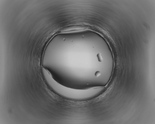 X0000113530881200910161347