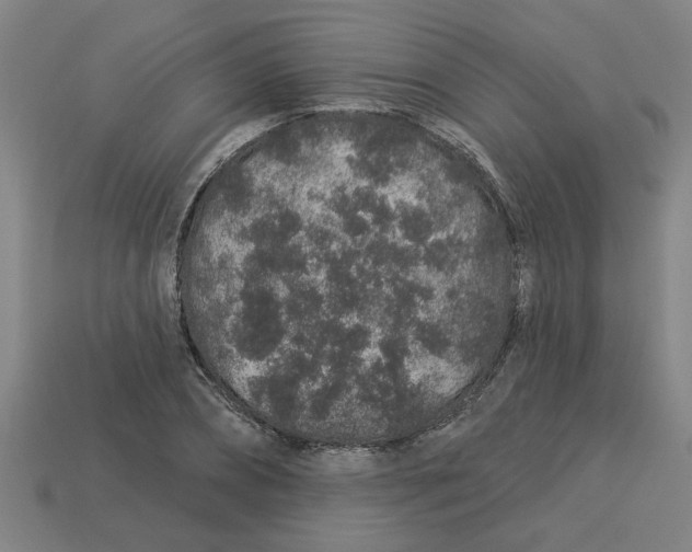 X0000113530882200910161347