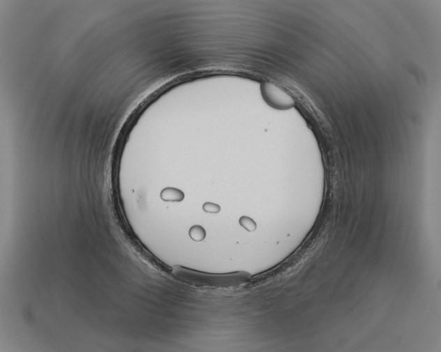 X0000113530884200910161347