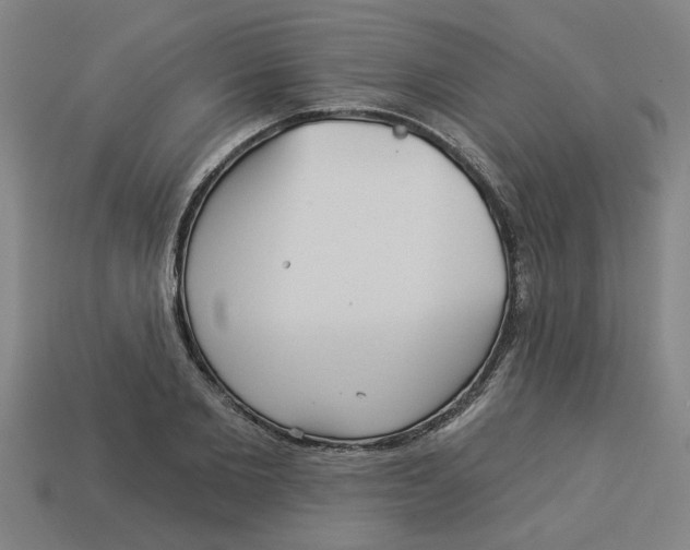 X0000113530885200910161347