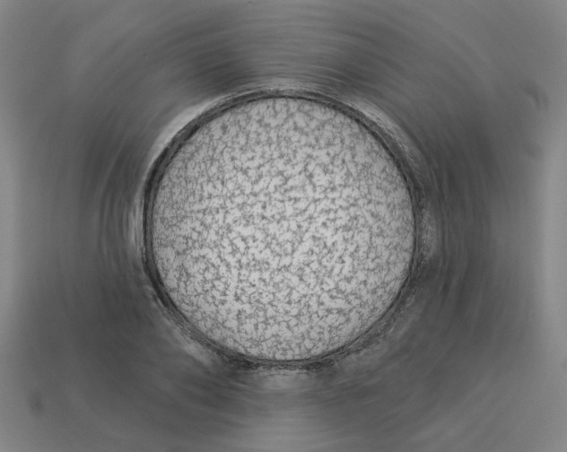 X0000113530886200910161347