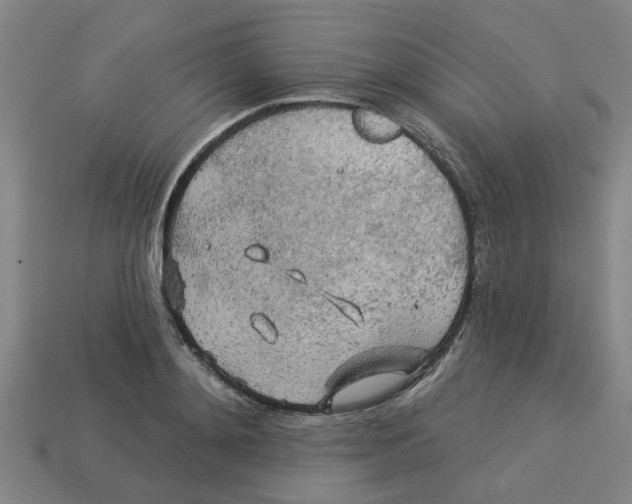 X0000113530892200910161347