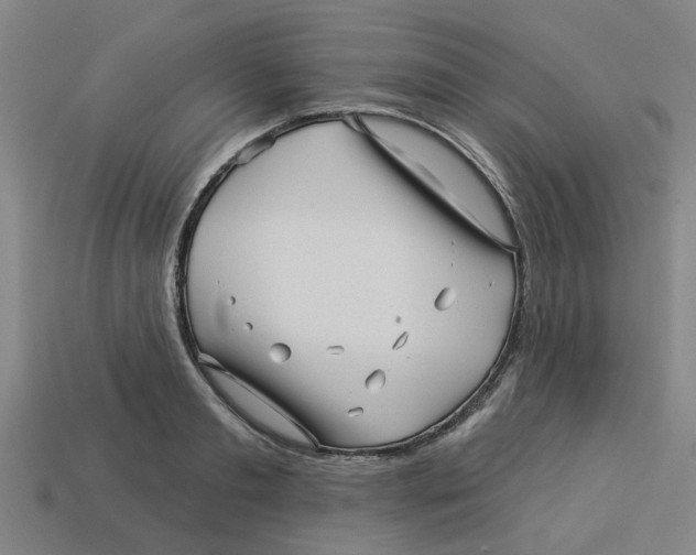 X0000113530893200910161347