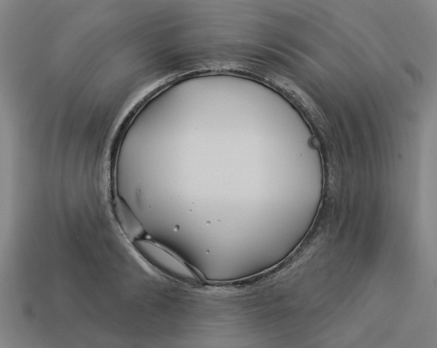 X0000113530894200910161347