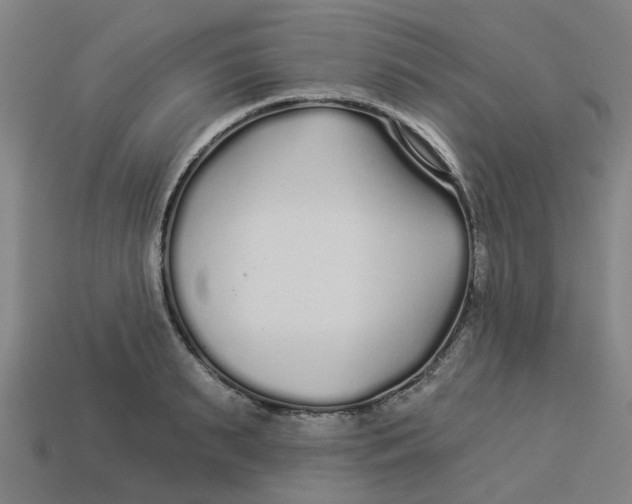 X0000113530895200910161347