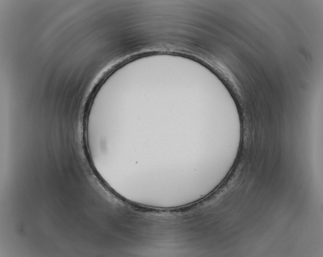 X0000113530896200910161347