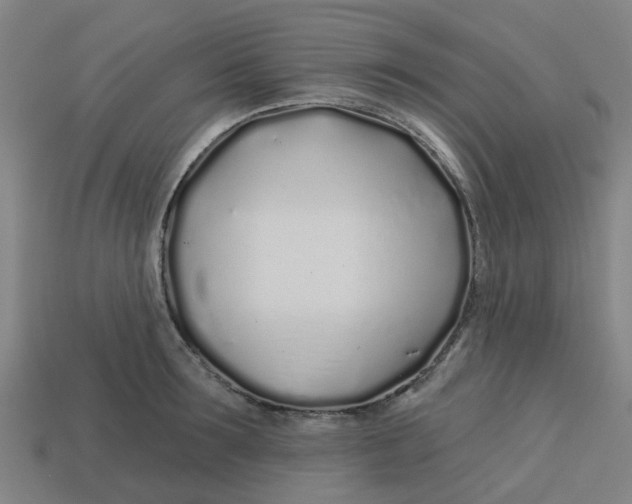 X0000113530899200910161347