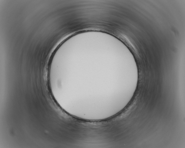 X0000113530900200910161347