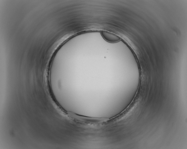 X0000113530901200910161347